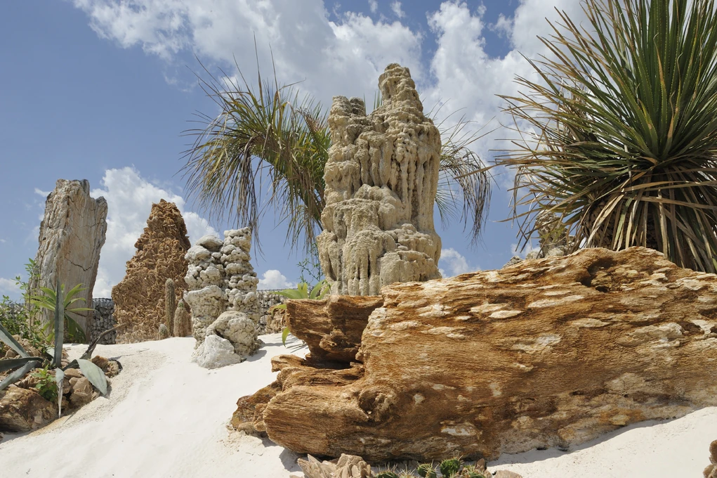 Skamieniałe drewno Legni Fossili Rosa del Deserto jako centralny monolit w luksusowej aranżacji ogrodu pustynnego.webp